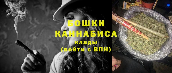 стафф Верхний Тагил