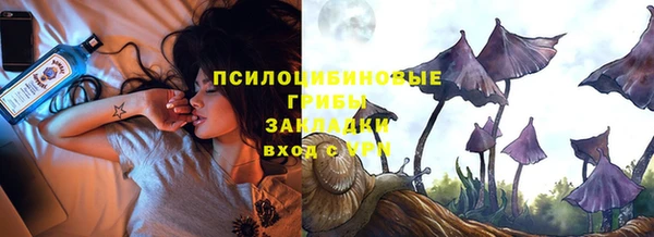стафф Верхний Тагил