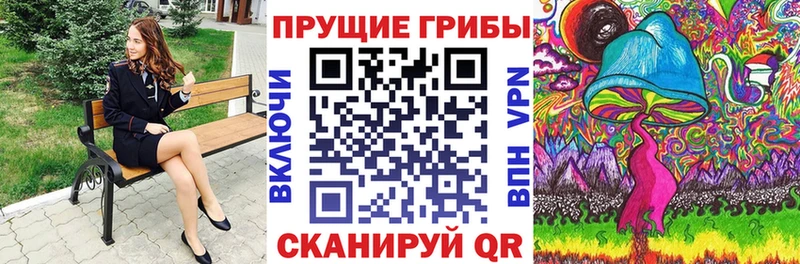 Купить закладки  Курчатов  Псилоцибиновые грибы MAGIC MUSHROOMS 