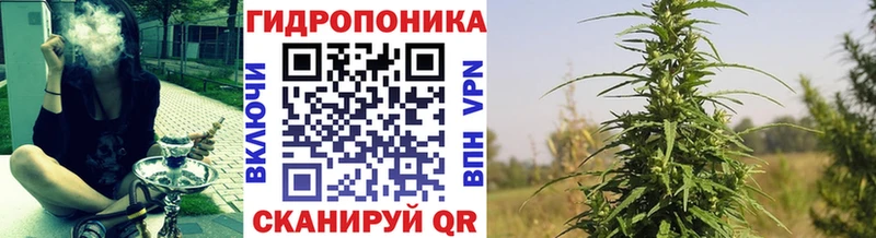 Купить закладки  Курчатов  Марихуана гибрид 